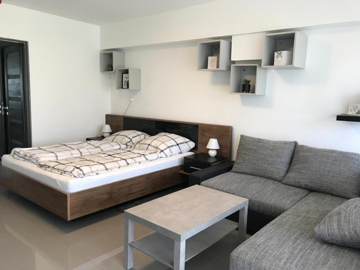 塞格德Tisza Gyongye Apartmanhaz公寓 外观 照片